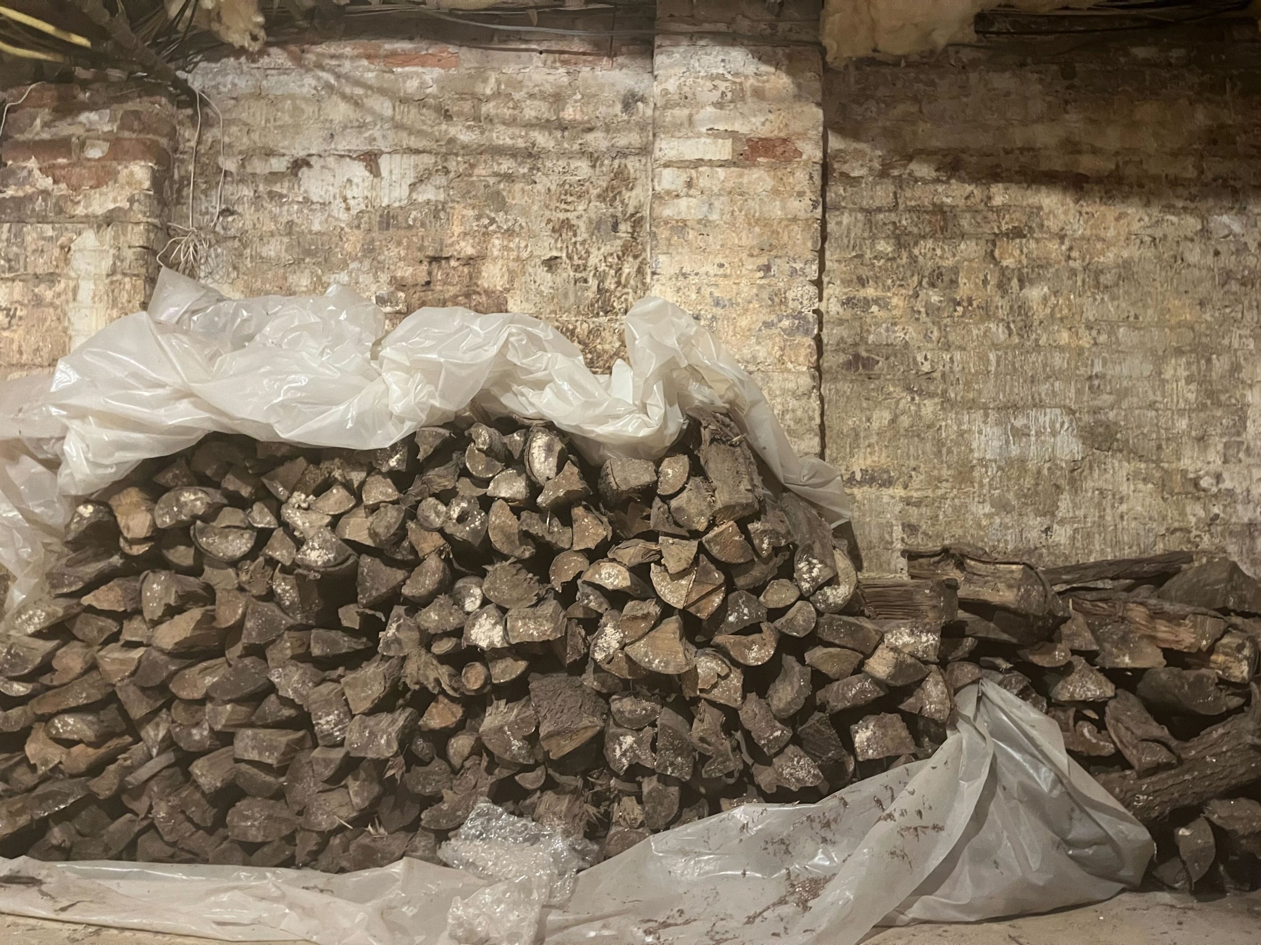 moisture attracting pests in north carolina crawlspace