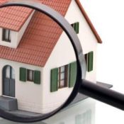 6-Signs-You-Might-Need-a-Termite-Home-Inspection-1-1.jpg