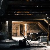 How-to-Protect-Your-Homes-Electrical-Wiring-from-Attic-Pests-1-1.jpg