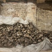 moisture attracting pests in north carolina crawlspace