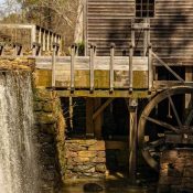 Why-Certain-Neighborhoods-in-Raleigh-See-More-Pest-Problems-1-1.jpg
